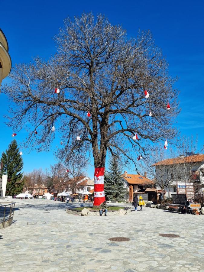 G-Apartment, New Inn, 2-Rooms Bansko Ngoại thất bức ảnh